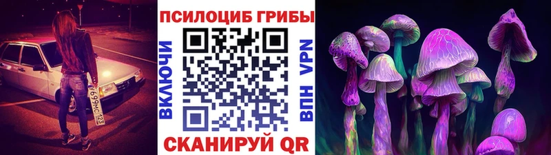 Купить где  Туапсе  Галлюциногенные грибы мицелий 